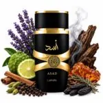 اسد مشکی (ساواج الکسیر) - تصویر 2